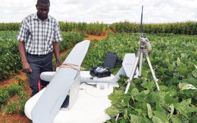 Big data needed for an agricultural boom