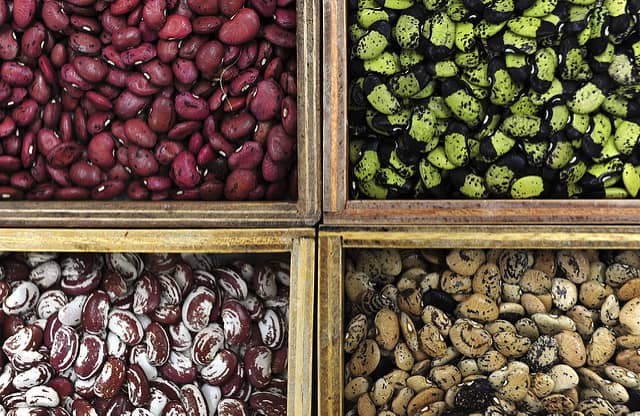 Here’s how to do bean breeding the climate-smart way