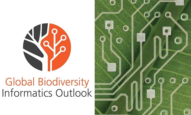 The Global Biodiversity Informatics Outlook: delivering biodiversity knowledge in the information age