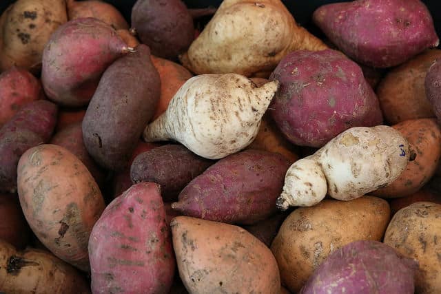 Solanify: Crowd Sourcing of Potato Diversity Monitoring