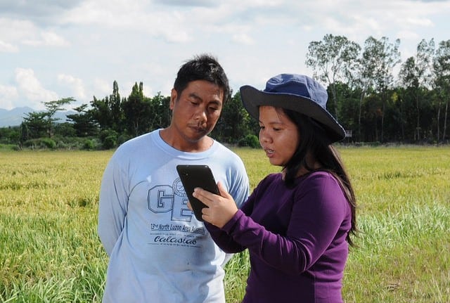 RiceFocus: Scaling Crop Advisory Services to Smallholders