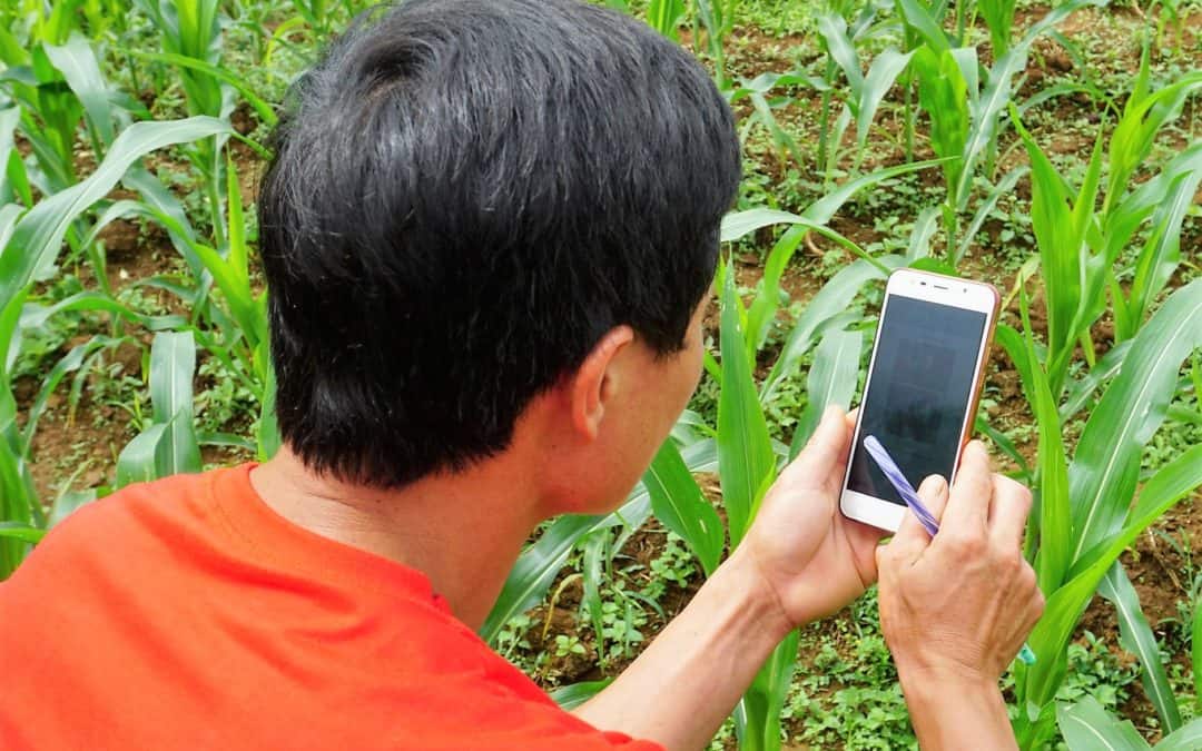 Aligning needs with solutions: Data-driven agricultural innovation for Vietnam’s farmers