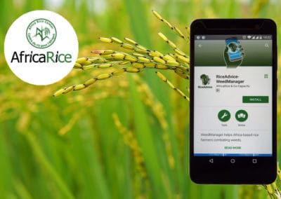 Free mobile app for rice weed control in Africa