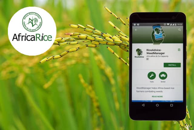 Free mobile app for rice weed control in Africa