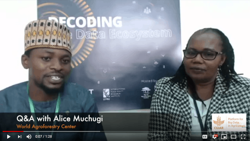 Q&A with Alice Muchugi from the ICRAF