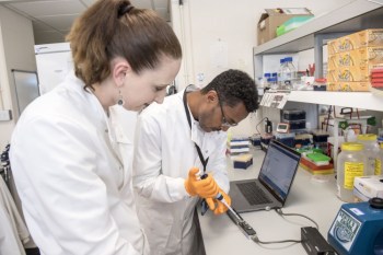 Nanopore sequencing for plant disease diagnostics in Ethiopia