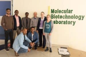 MARPLE Diagnostics: A Pioneering Step in Ethiopian Wheat Rust Management