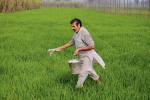 Making crop insurance work for Indian farmers