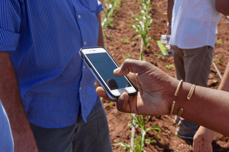 Seeing really is believing: Farmers’ photos revolutionize insurance and advisory services
