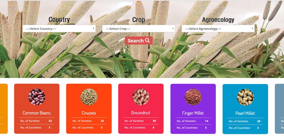 Now, get critical seed data in one click