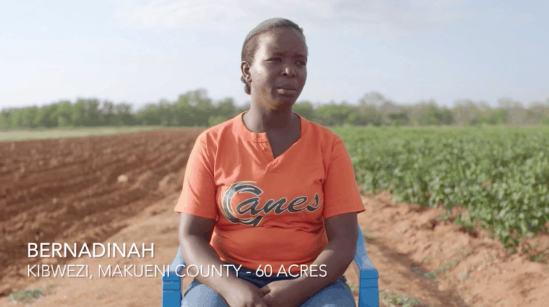 Africa Farmers Club  min documentary