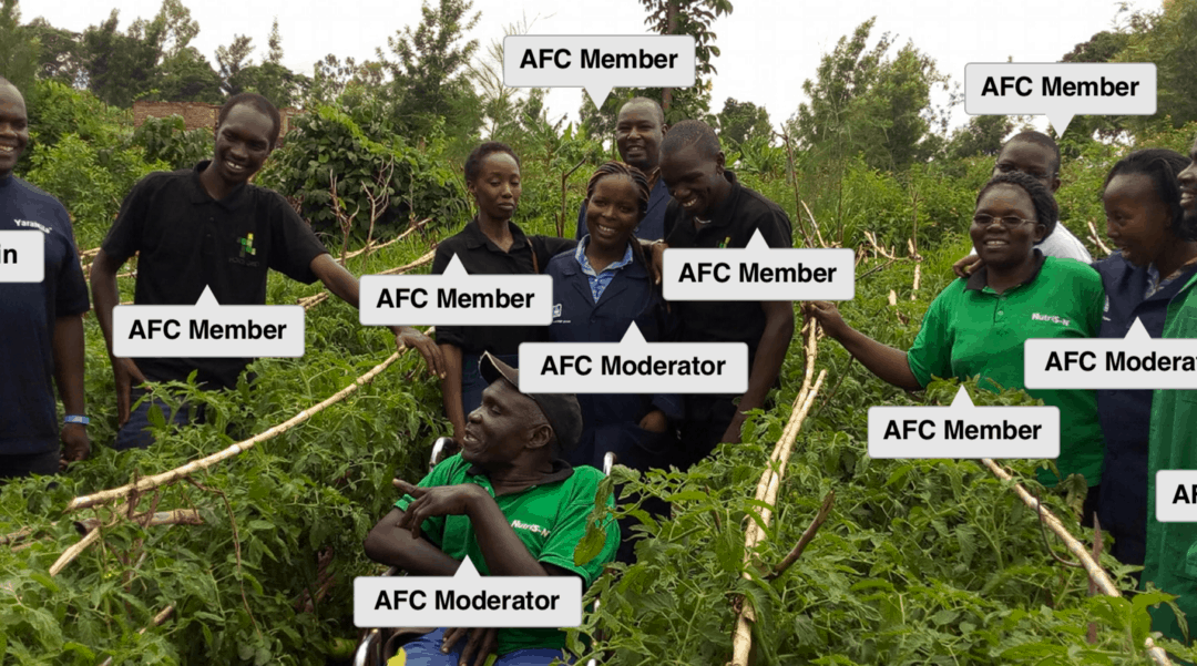 What 100,000 African farmers can teach us about social networks
