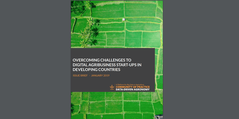 Issue Brief & Video – Overcoming Challenges to Digital Agribusiness Start-Ups in Developing Countries