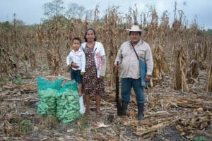 Machine learning for smarter seed selection to reduce risks for Mexican maize farmers