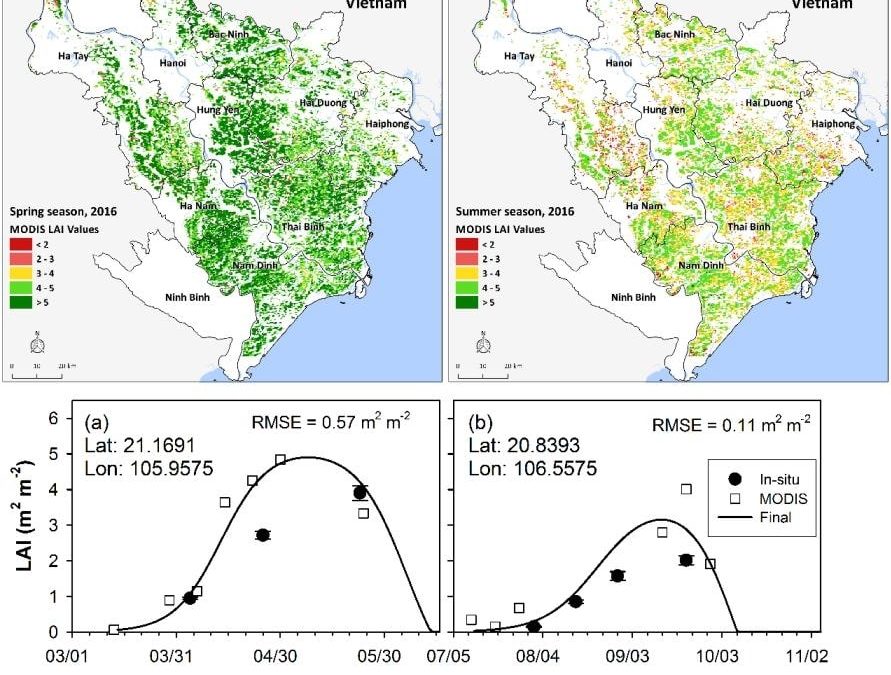 Mapping Rice Yields using Synthetic Aperture Radar (SAR) and the ORYZA Model