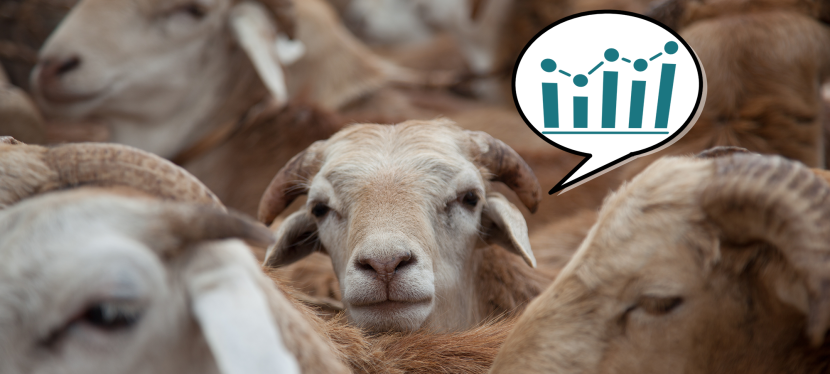 Stand out from the herd: get to know the data behind your livestock facts