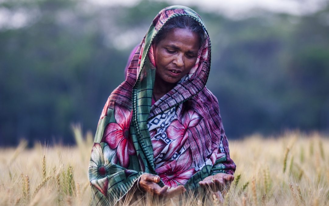 Digital Warning System Boosts Resilience in Bangladesh