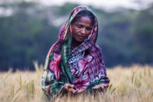 Digital Warning System Boosts Resilience in Bangladesh