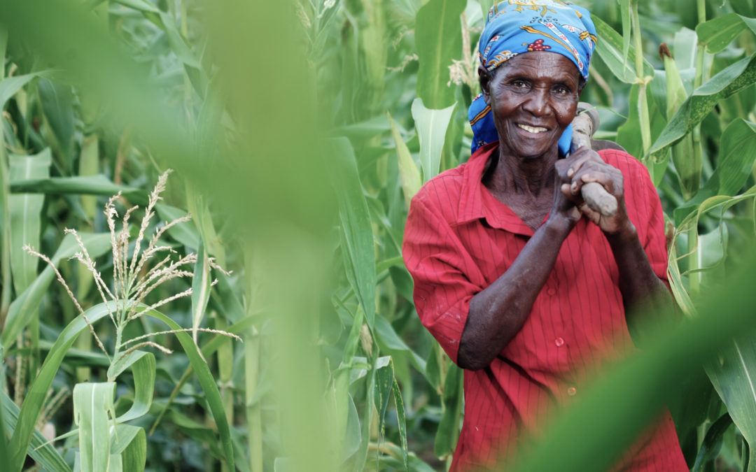 Helping farmers overcome financial challenges