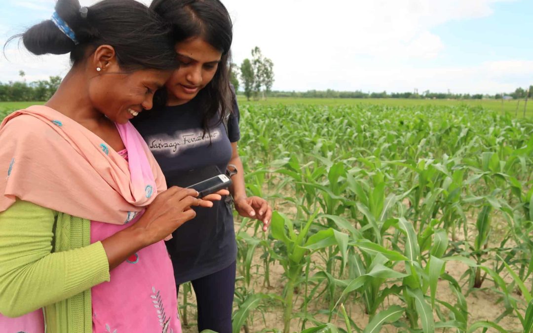 Seed systems in Nepal are going digital