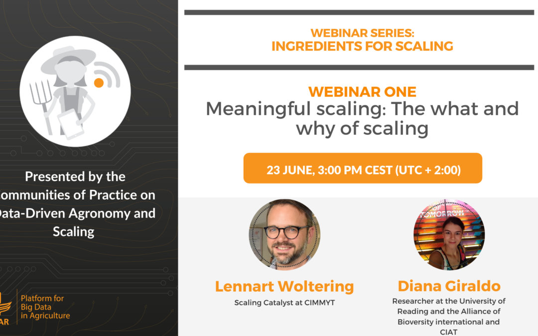 Webinar – Meaningful scaling: The what and why of scaling