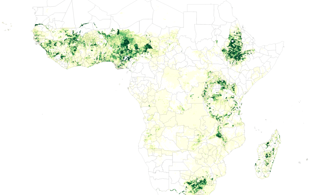 Spatially-Disaggregated Crop Production Statistics Data in Sub-Saharan Africa for 2017