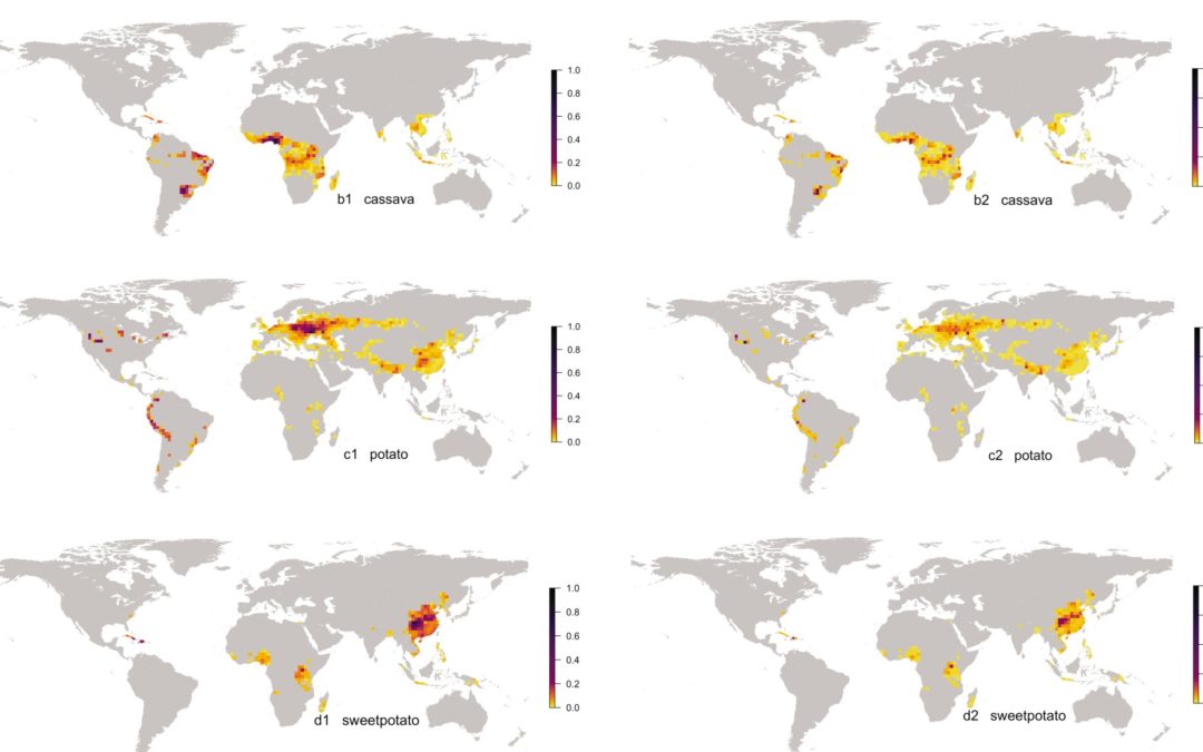 Mapping Global Cropland Connectivity for Managing Crop Pest and Disease Risks