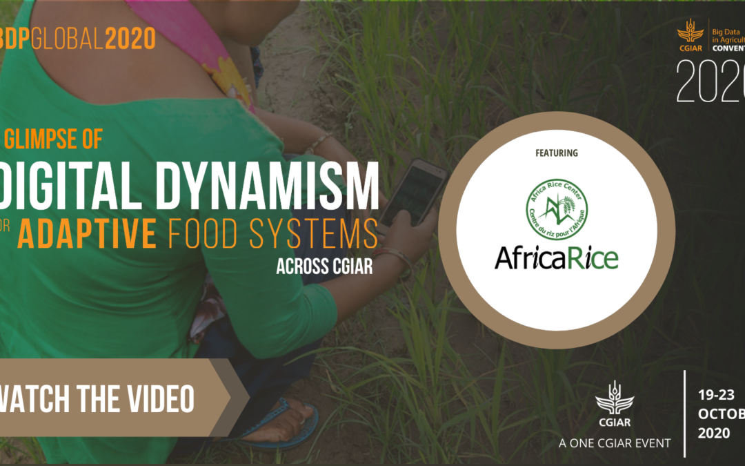 A glimpse of Digital Dynamism for Adaptive Food Systems across CGIAR: AfricaRice