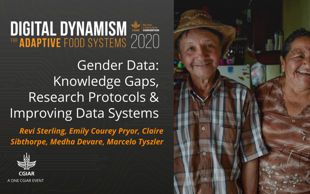 2020 Convention session – Gender Data: Knowledge Gaps, Research Protocols & Improving Data Systems