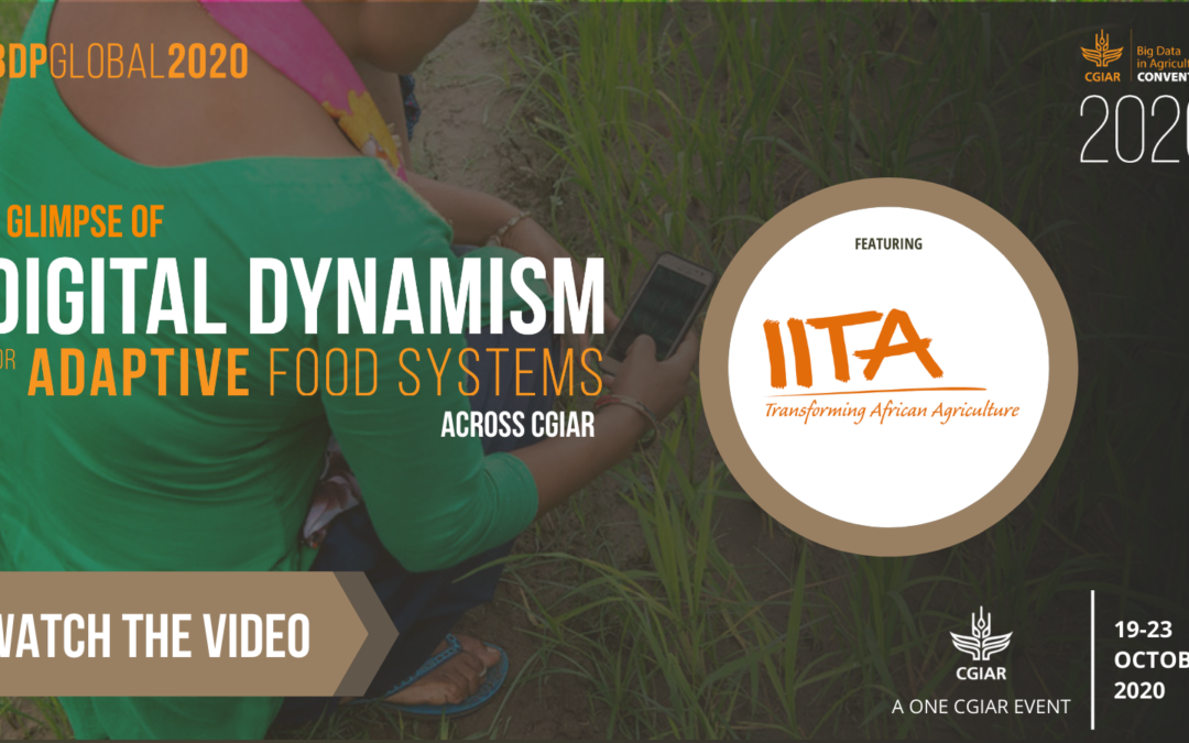 A glimpse of Digital Dynamism for Adaptive Food Systems across CGIAR: IITA
