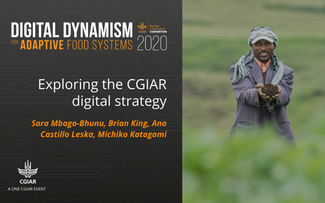 2020 Convention session – Exploring the CGIAR digital strategy
