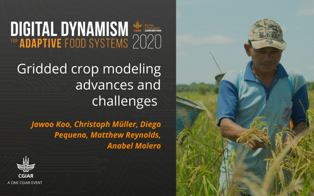 2020 Convention session – Gridded crop modeling advances & challenges