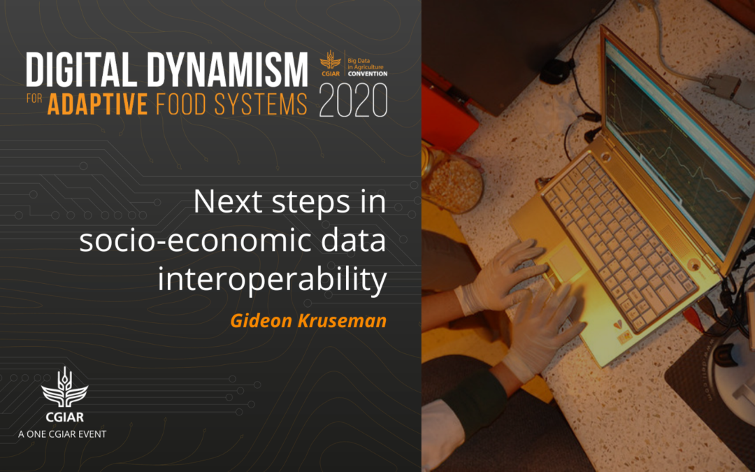 2020 Convention session – Next steps in socio-economic data interoperability